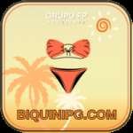biquinipg Premium Casino App