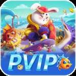 pvip APK Premium v4.9.6